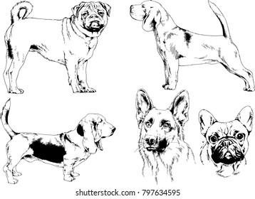 vector drawings sketches pedigree dogs in the racks drawn in ink by hand , objects with no background