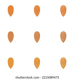 A vector drawn almond illustration with various colors, styles and amount of details