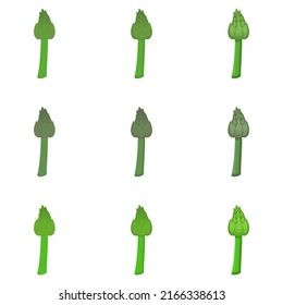 A vector drawn asparagus illustration with various colors and amount of details