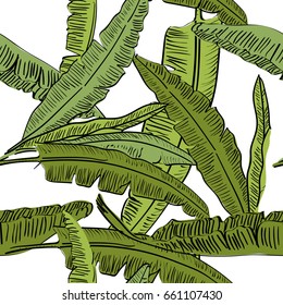 Vector drawn banana palm tree leaves seamless pattern on white background in a sketch style. Exotic collection.