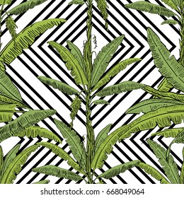 Vector drawn banana palm tree seamless pattern with leaves on white background in a sketch style. Exotic collection.