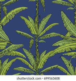 Vector drawn banana palm tree seamless pattern with leaves on blue background in a sketch style. Exotic collection.
