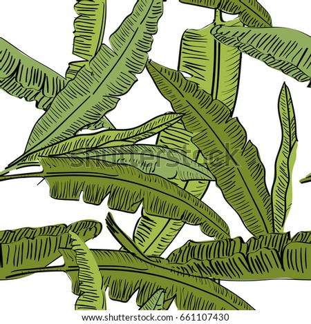 Vector drawn banana palm tree leaves seamless pattern on white background in a sketch style. Exotic collection.