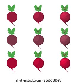 A vector drawn beet illustration with various colors and amount of details
