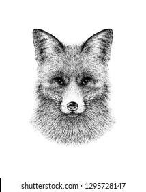 Vector and drawn black and white ink illustration of fox portrait. Isolated on white background. Realistic, vintage, pointillism style. Great for print, card, tattoo, engraving