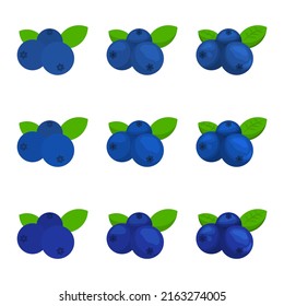 A vector drawn blueberry illustration with various colors and amount of details