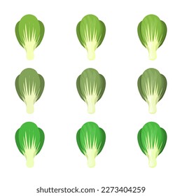 A vector drawn bok choy illustration with various colors and amount of details