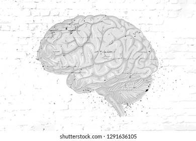 Vector drawn brain on a brick wall