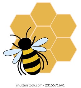 Vector drawn carttoon doddle striped honey bee on yellow hexagon honeycombs