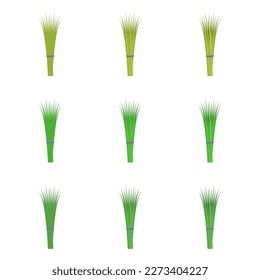 A vector drawn chives illustration with various colors and amount of details