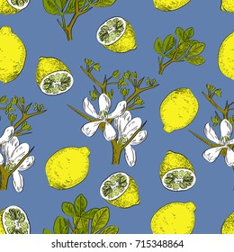 Vector drawn citrus seamless pattern on blue background with lemons and flowers in a sketch style. Exotic collection.