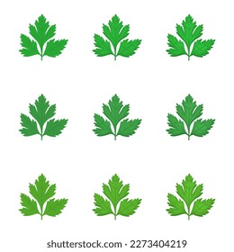 A vector drawn coriander illustration with various colors and amount of details