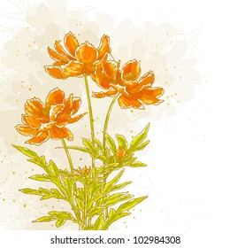 Vector drawn cosmos flowers on textured background in watercolor style