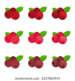 Ilustración de arándano dibujado por un vector con varios colores y cantidad de detalles