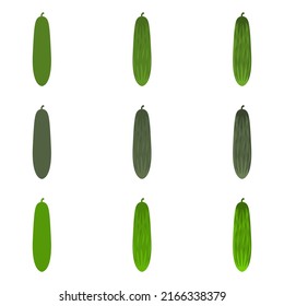 A vector drawn cucumber illustration with various colors and amount of details