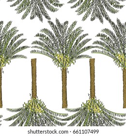Vector drawn cycas palm tree seamless pattern on white background in a sketch style. Exotic collection.
