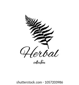 Vector drawn exotic collection logo symbol of black fern leaf on white background. Design for packaging, tea shop, drink menu, homeopathy and health care products.