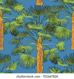 Vector drawn fan palm tree seamless pattern on blue background in a sketch style. Exotic collection.