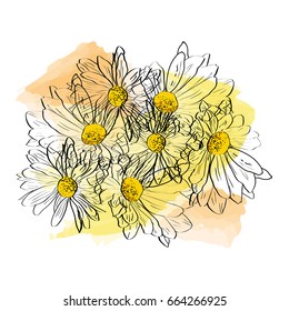 Vector drawn floral composition with yellow chrysanthemum on watercolor background. Sketch style.