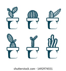 Vector drawn flower cactus. Isolated on white background.