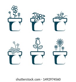 Vector drawn flower potted. Isolated on white background.