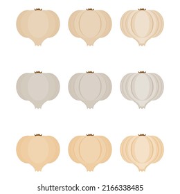 A vector drawn garlic illustration with various colors and amount of details