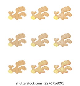 A vector drawn ginger illustration with various colors and amount of details