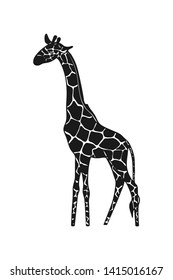Vector drawn giraffe icon. African wild animal on white background. 