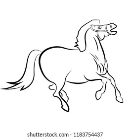 Vector drawn horse, isolated on white background.