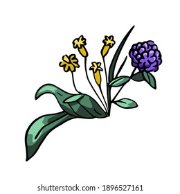 Vector drawn illustration, doodle with field plants. Botanical concept.