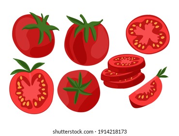 Vector drawn illustration with set, collection of tomatoes from different sides and on cut. Concept vegetables, organic, natural products, vegetarianism.