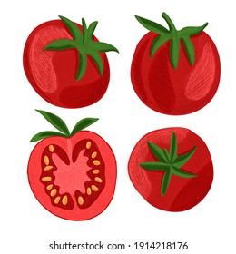 Vector drawn illustration with set, collection of tomatoes from different sides and on cut. Concept vegetables, organic, natural products, vegetarianism.