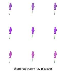 A vector drawn lavender illustration with various colors and amount of details