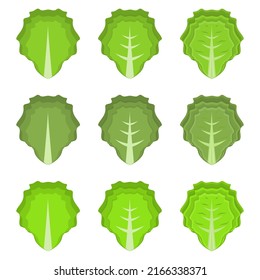A vector drawn lettuce illustration with various colors and amount of details