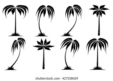 Vector drawn lone palms tree on the beach
