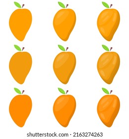 A vector drawn mango illustration with various colors and amount of details