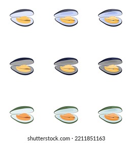 A vector drawn mussel illustration with various colors and amount of details