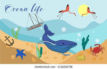 Vector drawn ocean life background with hand drawn underwater animals and plants. Crab, flamingos, sea star, fish, sea shell, jellyfish in sketch style.