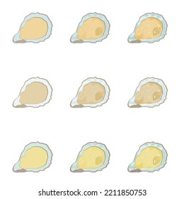 A vector drawn oyster meat illustration with various colors and amount of details