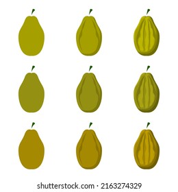 Ilustración de papaya dibujada por vectores con varios colores y cantidad de detalles