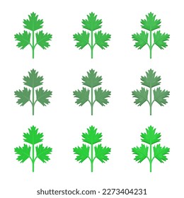 Ilustración parsley de vector con varios colores y cantidad de detalles