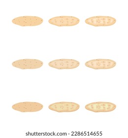 A vector drawn pita bread illustration with various colors and amount of details