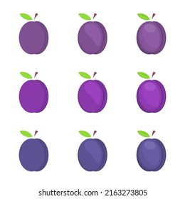Eine Vektorgrafik mit verschiedenen Farben und Details
