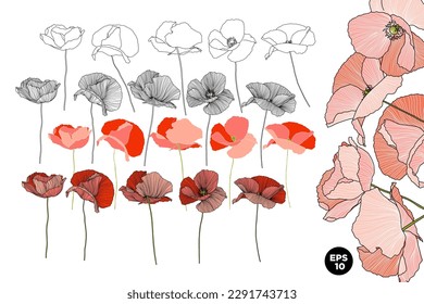 Vector drawn poppies flowers set. Various style linear and fill botanical elements. Design for cards, backgrounds, patterns.