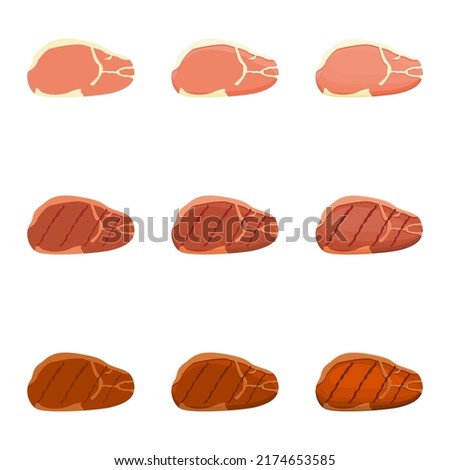 A vector drawn pork loin illustration with various colors, styles and amount of details