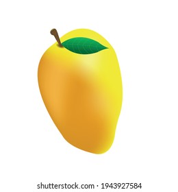 vector drawn realistic yellow mango with orange side and green leaf on white background