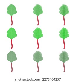 A vector drawn rhubarb illustration with various colors and amount of details