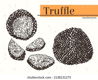 Vector drawn Set of Truffle Mushrooms. The concept of Expensive Delicatessen Mushrooms whole, cut into slices, halves, etc. Hand drawn Truffle isolated collection on kraft paper.