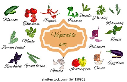 Vector drawn set of vegetable healthy food.