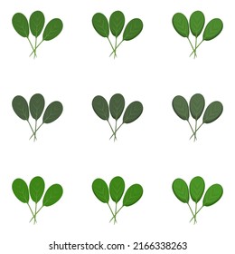 A vector drawn spinach illustration with various colors and amount of details